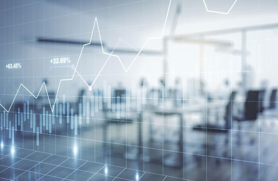 IR 株主・投資家情報